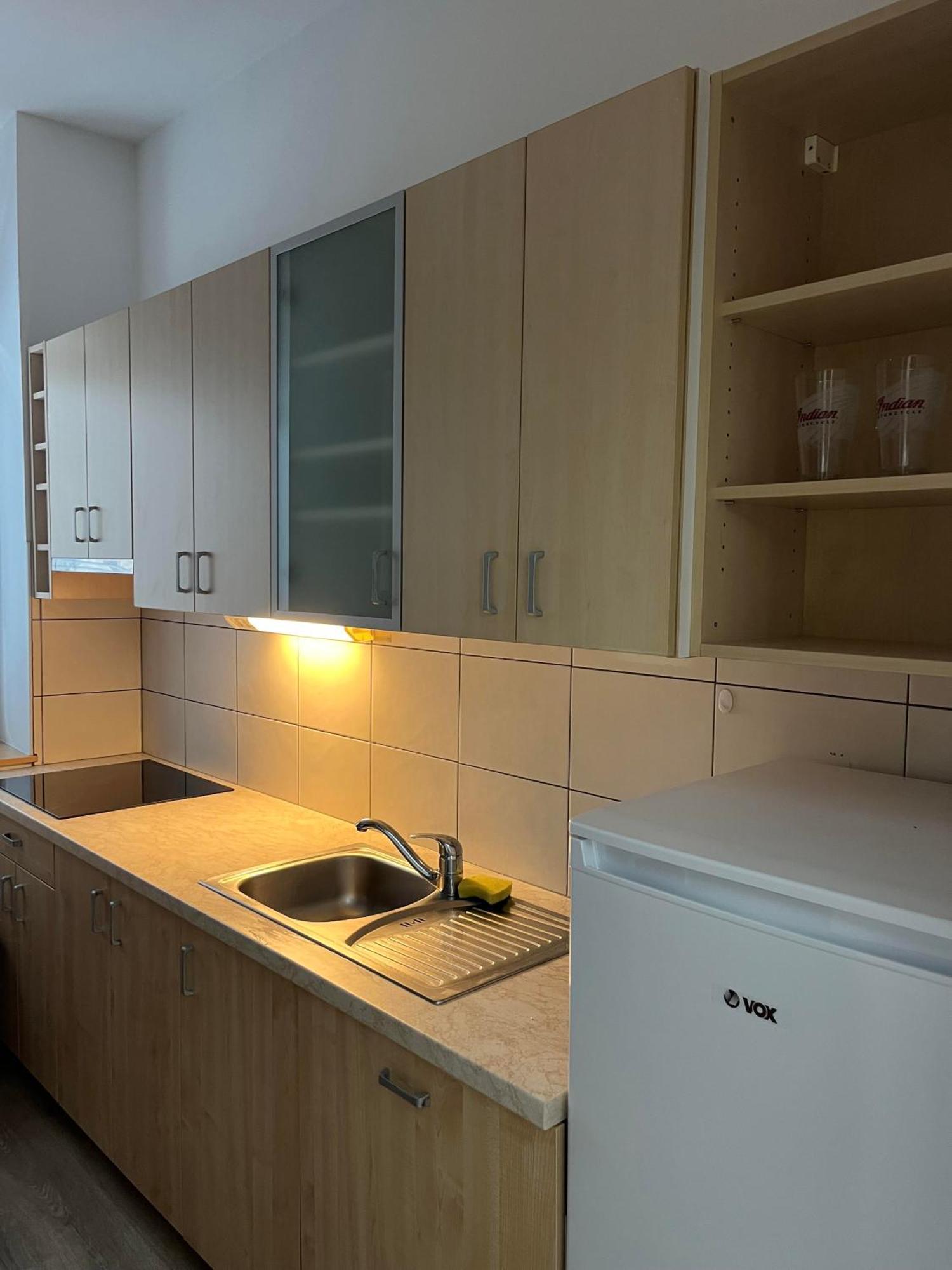 Blizu Centra In Na Robu Tivolija Apartment