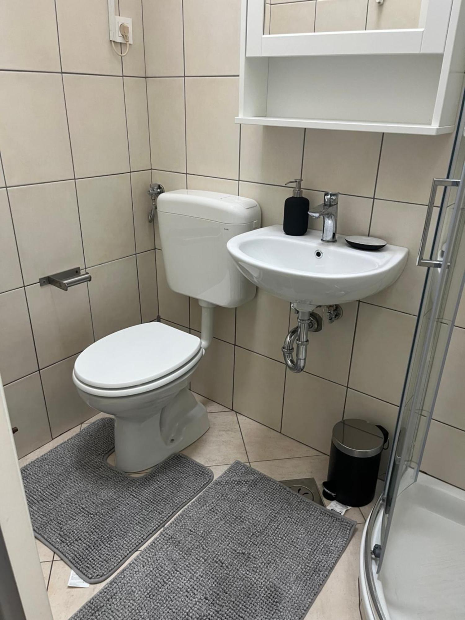 Blizu Centra In Na Robu Tivolija Laibach